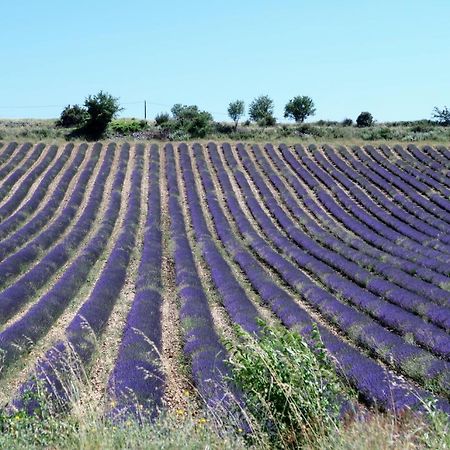 La Terrasse D'Olea, Au Coeur Du Village Бюи-ле-Баронь Экстерьер фото