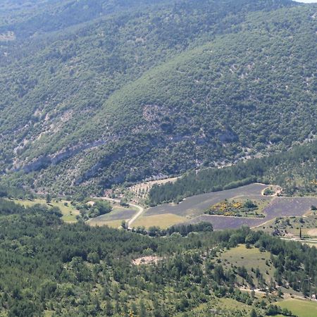 La Terrasse D'Olea, Au Coeur Du Village Бюи-ле-Баронь Экстерьер фото