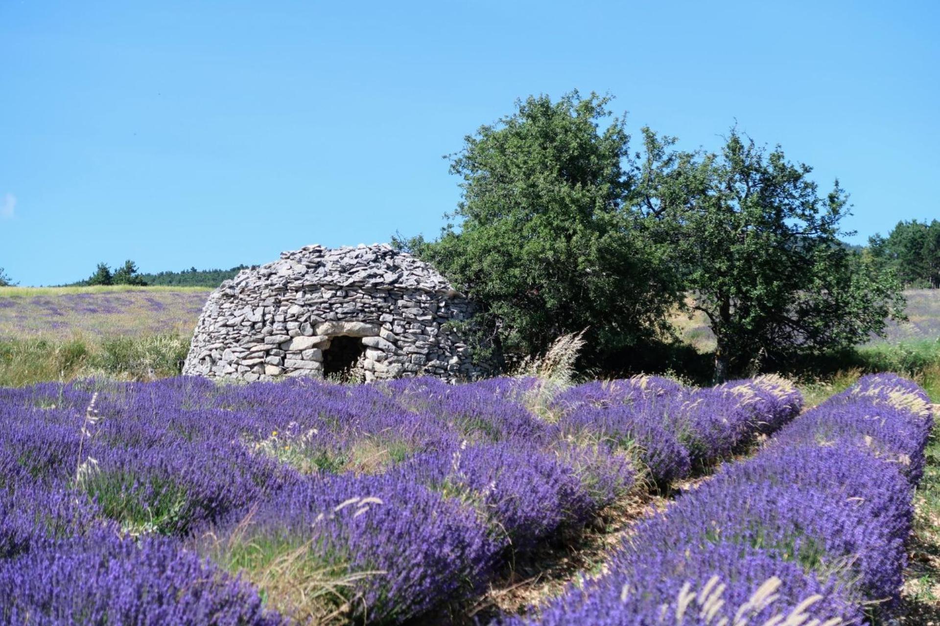 La Terrasse D'Olea, Au Coeur Du Village Бюи-ле-Баронь Экстерьер фото